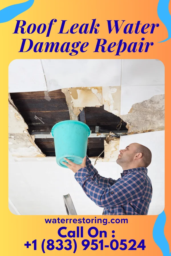 Roof Leak Water Damage Repair in Fordland, MO